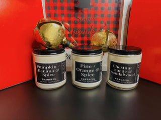 Dscover Holiday Bundle Boxes